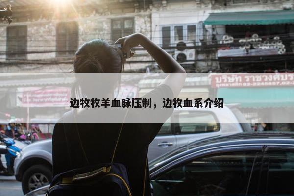 边牧牧羊血脉压制，边牧血系介绍