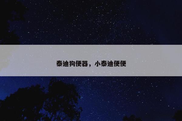 泰迪狗便器，小泰迪便便
