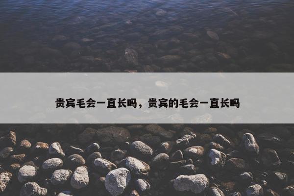 贵宾毛会一直长吗，贵宾的毛会一直长吗