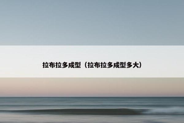 拉布拉多成型（拉布拉多成型多大）