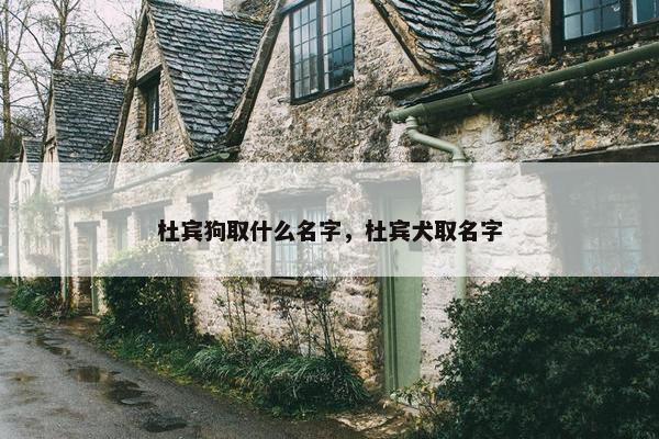杜宾狗取什么名字，杜宾犬取名字