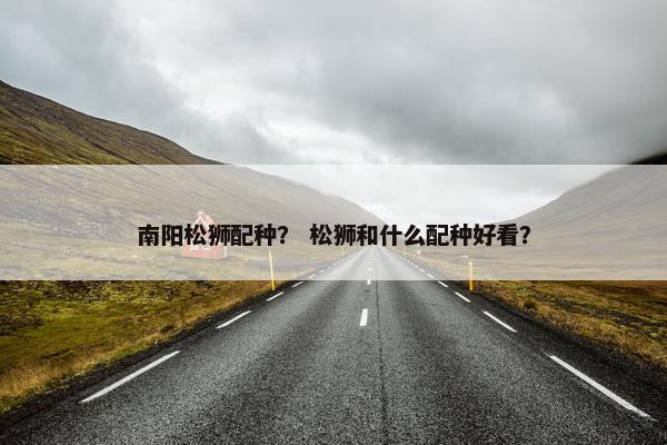 南阳松狮配种？ 松狮和什么配种好看？
