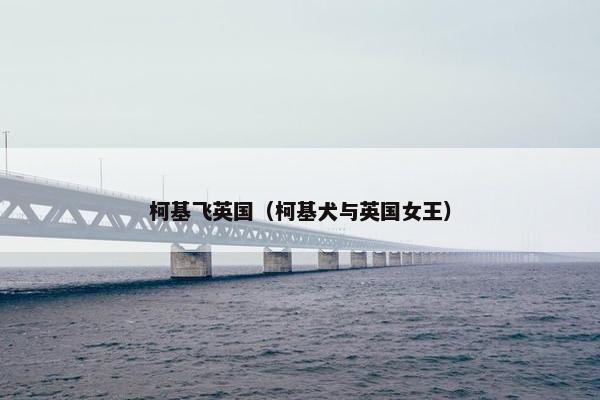 柯基飞英国（柯基犬与英国女王）