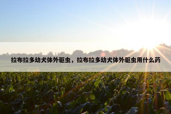 拉布拉多幼犬体外驱虫，拉布拉多幼犬体外驱虫用什么药