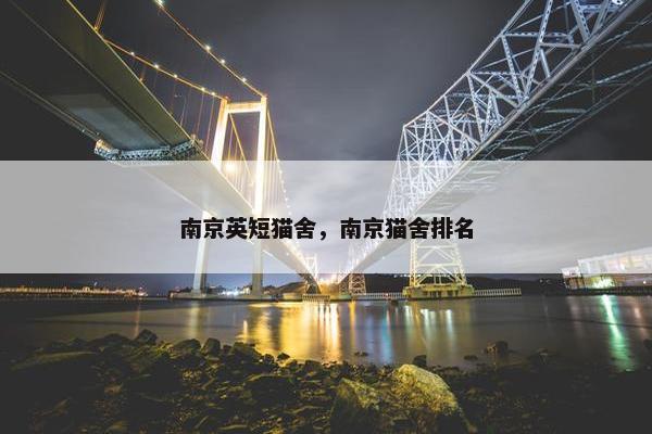 南京英短猫舍，南京猫舍排名
