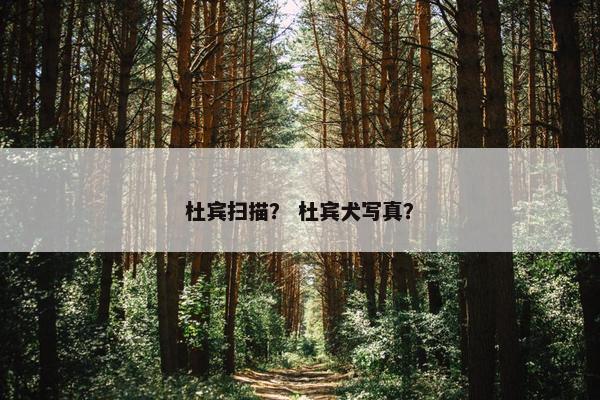 杜宾扫描？ 杜宾犬写真？