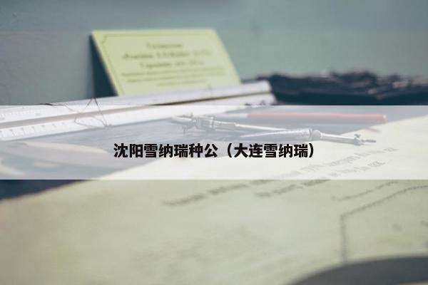 沈阳雪纳瑞种公（大连雪纳瑞）