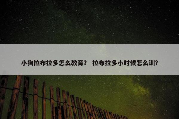 小狗拉布拉多怎么教育？ 拉布拉多小时候怎么训？