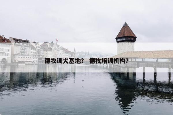 德牧训犬基地？ 德牧培训机构？