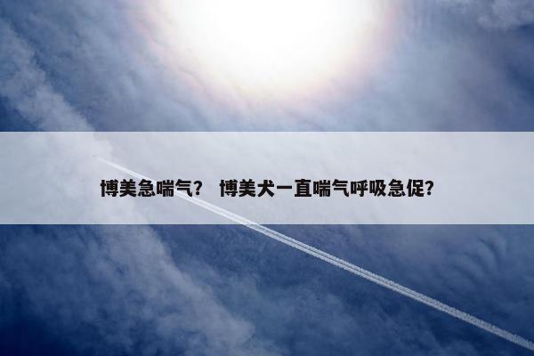 博美急喘气？ 博美犬一直喘气呼吸急促？