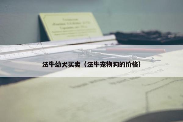 法牛幼犬买卖（法牛宠物狗的价格）