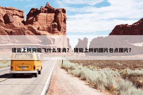 猪能上树狗能飞什么生肖？ 猪能上树的图片包点图片？