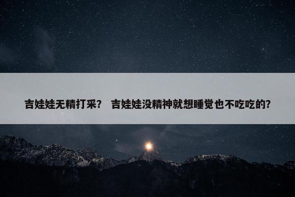 吉娃娃无精打采？ 吉娃娃没精神就想睡觉也不吃吃的？