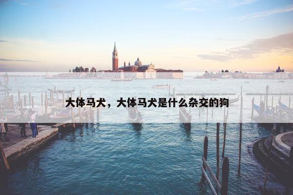 大体马犬，大体马犬是什么杂交的狗