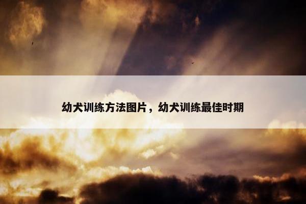 幼犬训练方法图片，幼犬训练最佳时期