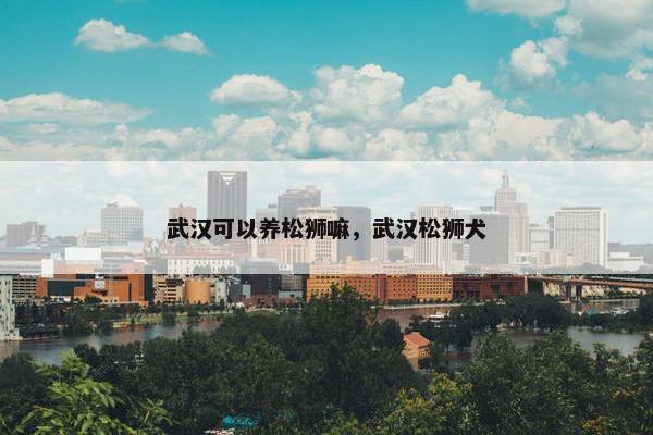 武汉可以养松狮嘛，武汉松狮犬