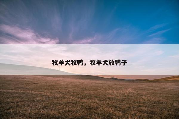 2025年6月8日 第9页