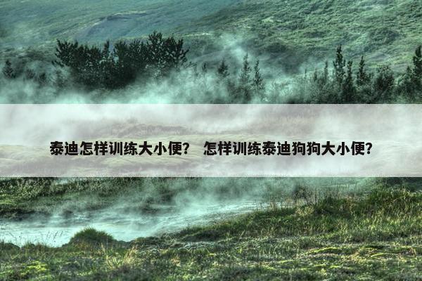 泰迪怎样训练大小便？ 怎样训练泰迪狗狗大小便？