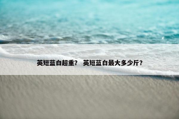 英短蓝白超重？ 英短蓝白最大多少斤？