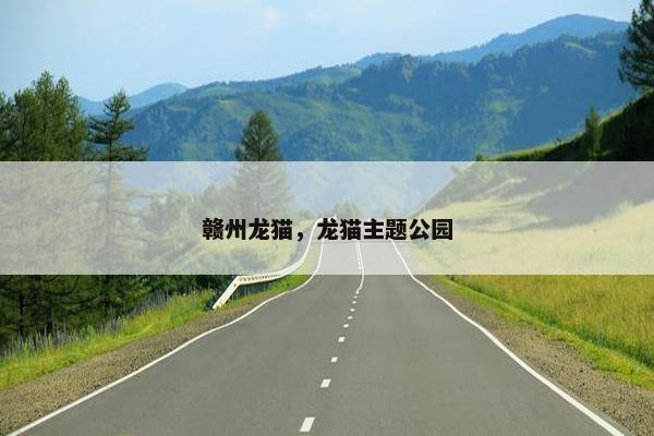 赣州龙猫，龙猫主题公园