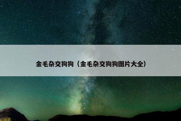 金毛杂交狗狗（金毛杂交狗狗图片大全）