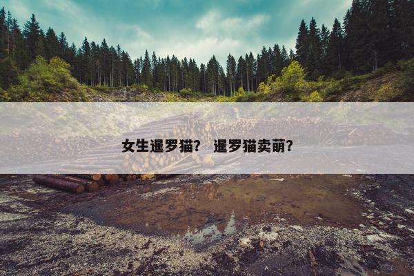 女生暹罗猫？ 暹罗猫卖萌？