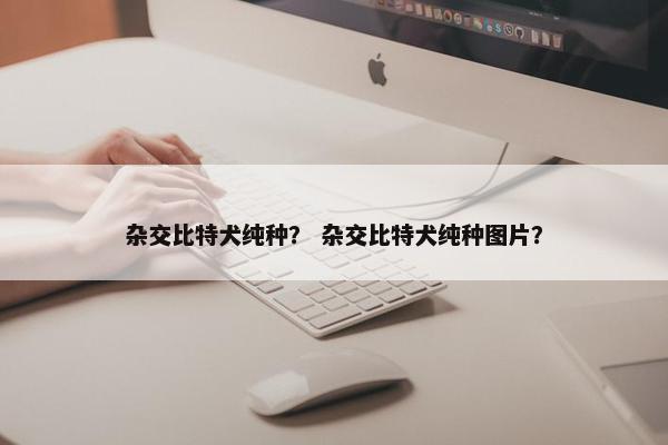 杂交比特犬纯种？ 杂交比特犬纯种图片？