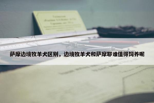 萨摩边境牧羊犬区别，边境牧羊犬和萨摩耶谁值得饲养呢