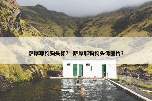 萨摩耶狗狗头像？ 萨摩耶狗狗头像图片？