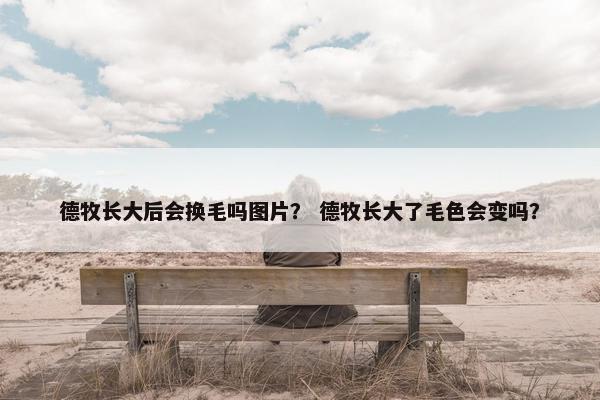 德牧长大后会换毛吗图片？ 德牧长大了毛色会变吗？