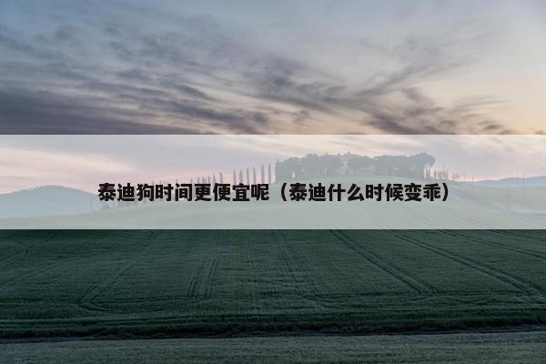 泰迪狗时间更便宜呢（泰迪什么时候变乖）