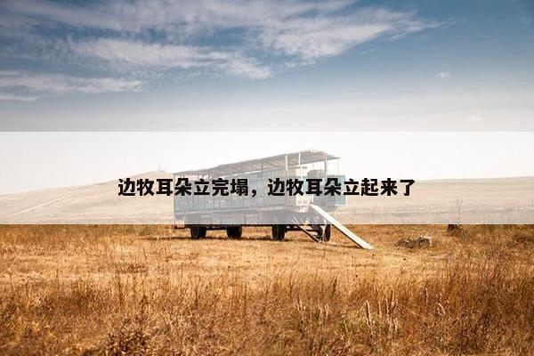边牧耳朵立完塌，边牧耳朵立起来了