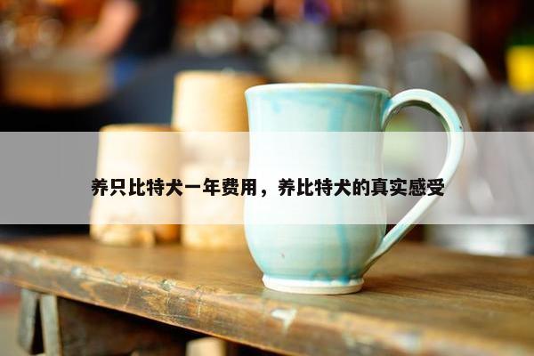 养只比特犬一年费用，养比特犬的真实感受
