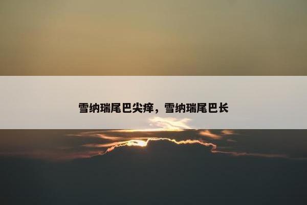 雪纳瑞尾巴尖痒，雪纳瑞尾巴长