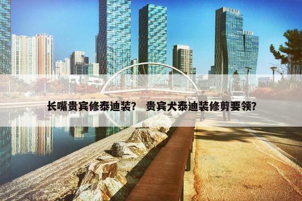 长嘴贵宾修泰迪装？ 贵宾犬泰迪装修剪要领？