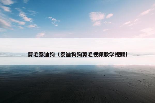 剪毛泰迪狗（泰迪狗狗剪毛视频教学视频）