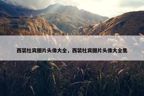 杜宾 第6页