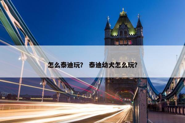 怎么泰迪玩？ 泰迪幼犬怎么玩？
