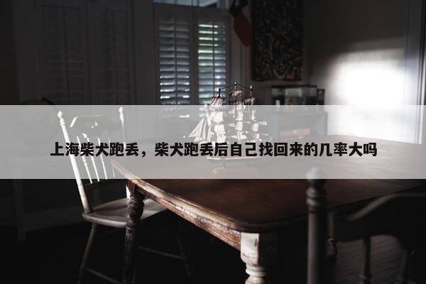 上海柴犬跑丢，柴犬跑丢后自己找回来的几率大吗