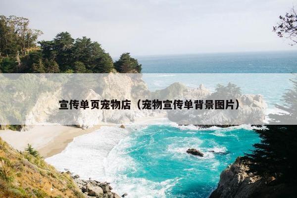 宣传单页宠物店（宠物宣传单背景图片）