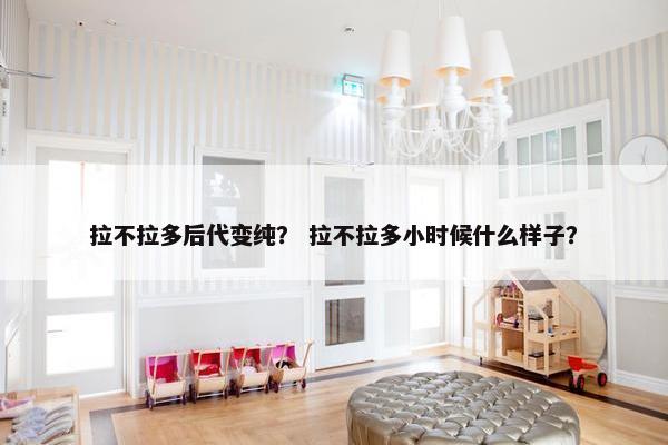 拉不拉多后代变纯？ 拉不拉多小时候什么样子？