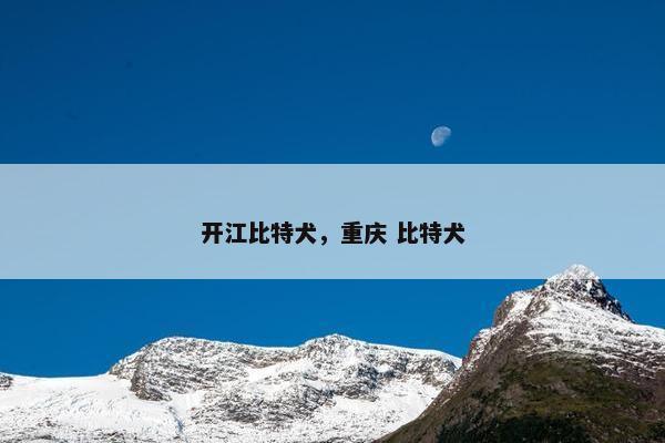 开江比特犬，重庆 比特犬