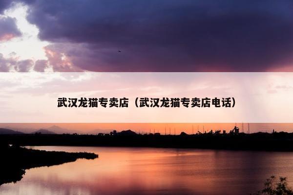 武汉龙猫专卖店（武汉龙猫专卖店电话）