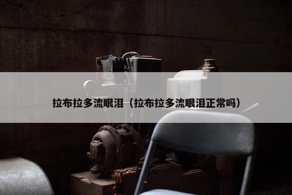 拉布拉多流眼泪（拉布拉多流眼泪正常吗）