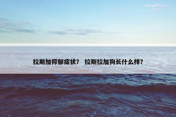 拉斯加抑郁症状？ 拉斯拉加狗长什么样？