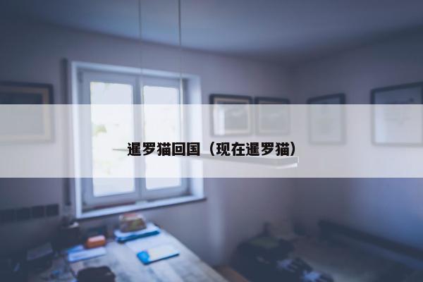 暹罗猫回国（现在暹罗猫）