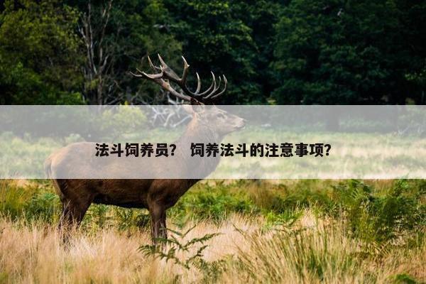 法斗饲养员？ 饲养法斗的注意事项？