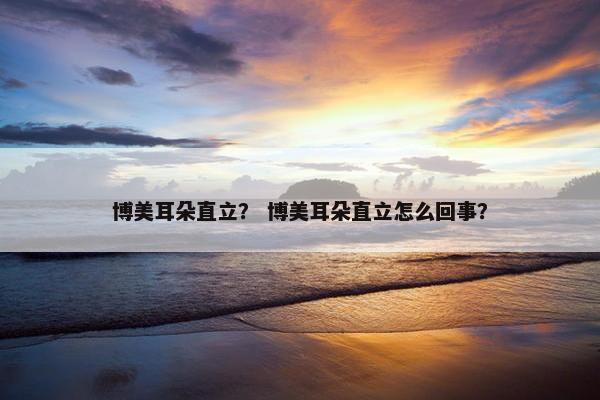 博美耳朵直立？ 博美耳朵直立怎么回事？