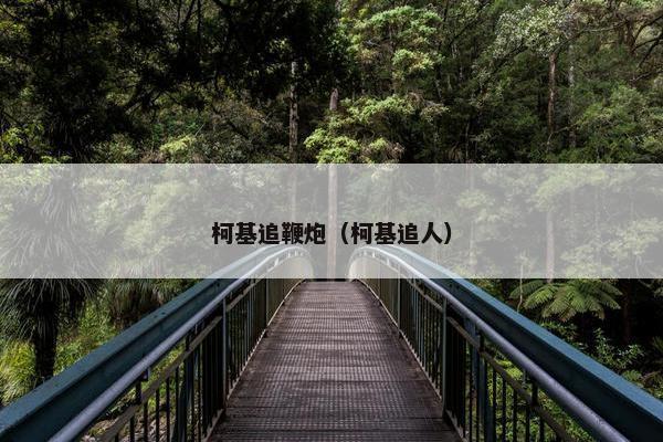 柯基追鞭炮（柯基追人）