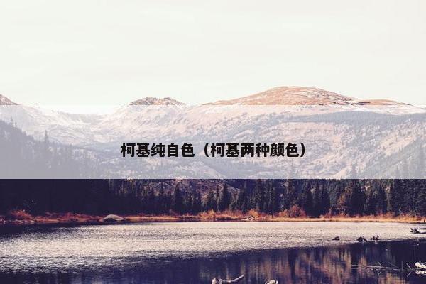 柯基纯自色（柯基两种颜色）